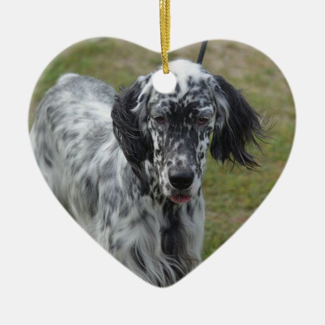 Beautiful English Setter Dog Ceramic Tree Decoration (Front)