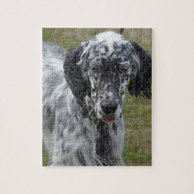 Beautiful English Setter Dog Jigsaw Puzzle (Vertical)