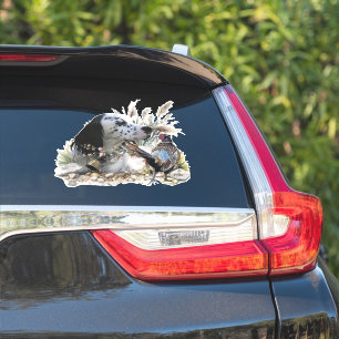 Beautiful English Setter with Pheasant ,  Art 