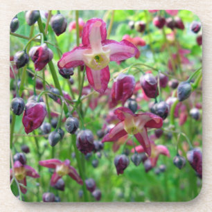 Beautiful Epimedium Flowers and Buds Spring Photo Coaster