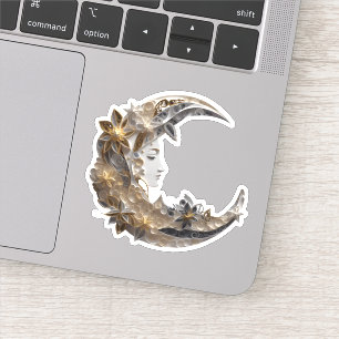 Beautiful Face in the Moon