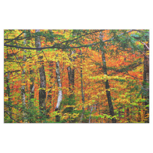 Beautiful Fall Colours in fabric