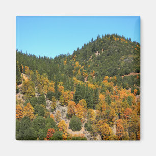Beautiful Fall day in the mountains..... Magnet