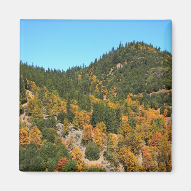 Beautiful Fall day in the mountains..... Magnet (Front)