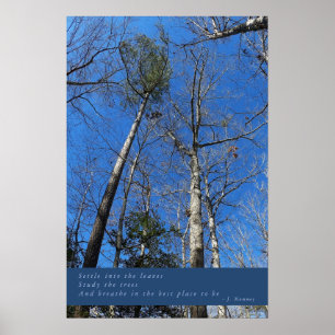 Beautiful Fall Day Poster