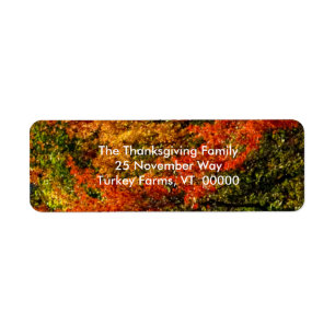 Beautiful Fall Foliage Photo Return Address Labels