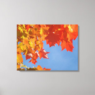 Beautiful Fall Leaves Canvas prints Nature Art