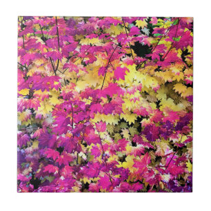 Beautiful Fall Leaves Ceramic Tile