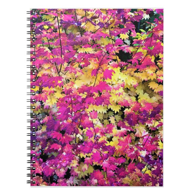 Beautiful Fall Leaves Notebook (Front)