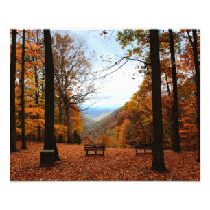 Beautiful Fall Photo Print