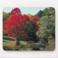 Beautiful Fall scene