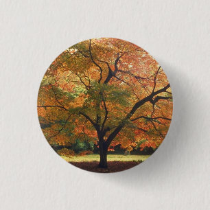 Beautiful Fall Tree 3 Cm Round Badge