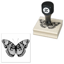 Beautiful Fancy Butterfly II