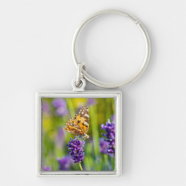 Beautiful Feeding Butterfly Key Chain (Front)