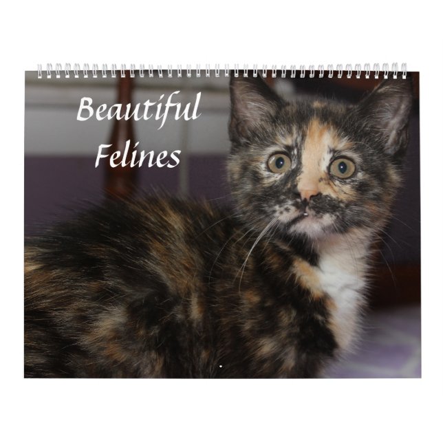 BEAUTIFUL FELINES  CALENDAR (Cover)