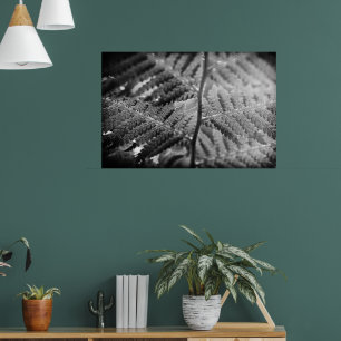 Beautiful fern black and white poster