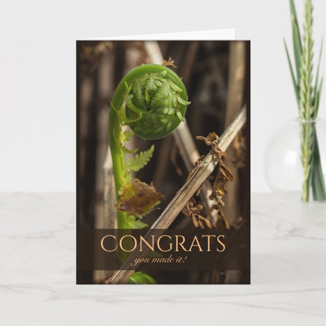 Beautiful fern overcoming winter CC0917 Congrats Card (Front)