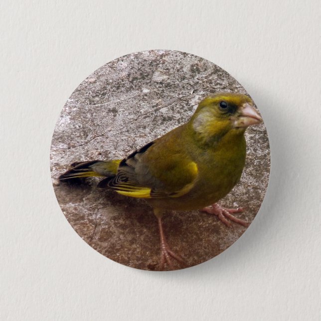 Beautiful Finch 6 Cm Round Badge (Front)