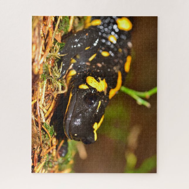 Beautiful Fire Salamander Jigsaw Puzzle (Vertical)