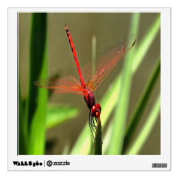Beautiful Firecracker Dragonfly Acrylic Painting