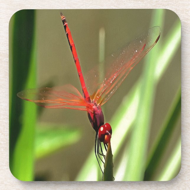 Beautiful Firecracker Dragonfly Acrylic Painting Coaster (Front)