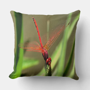 Beautiful Firecracker Dragonfly Acrylic Painting Cushion
