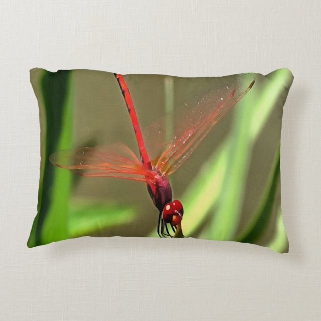 Beautiful Firecracker Dragonfly Acrylic Painting Decorative Cushion (Back)