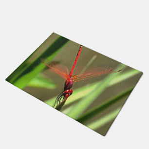 Beautiful Firecracker Dragonfly Acrylic Painting Doormat