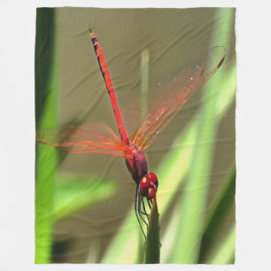 Beautiful Firecracker Dragonfly Acrylic Painting Fleece Blanket