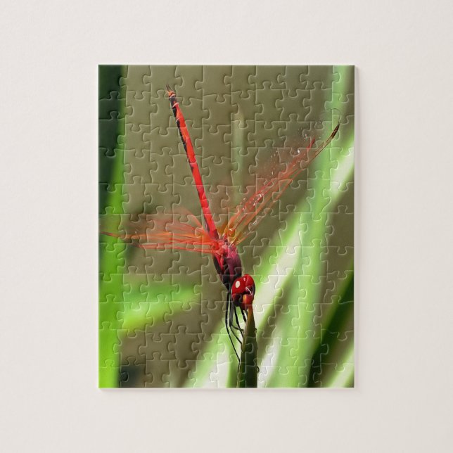 Beautiful Firecracker Dragonfly Acrylic Painting Jigsaw Puzzle (Vertical)