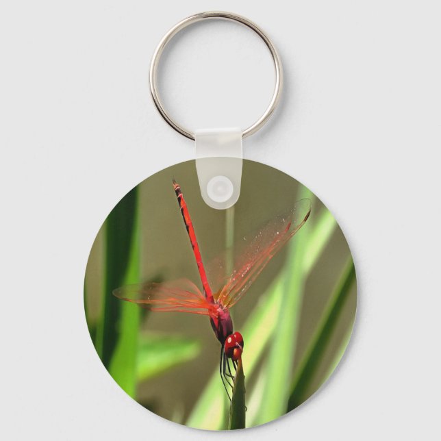 Beautiful Firecracker Dragonfly Acrylic Painting Key Ring (Front)