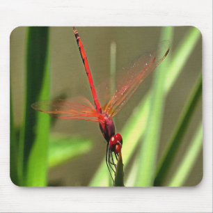 Beautiful Firecracker Dragonfly Acrylic Painting Mouse Pad