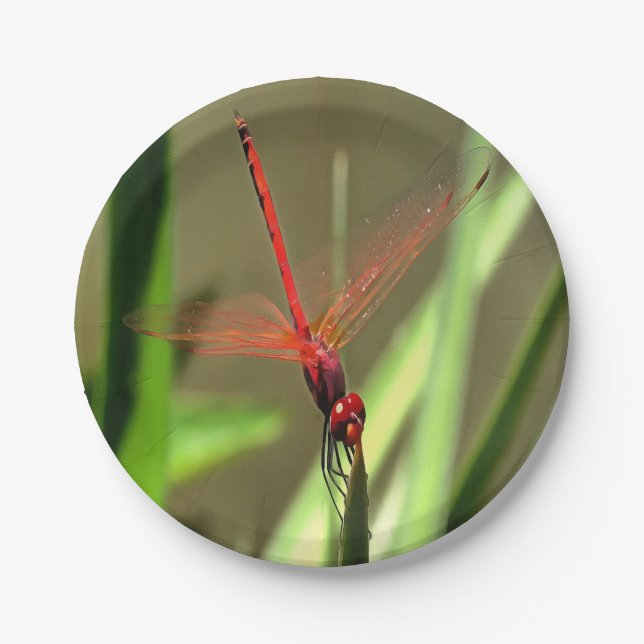 Beautiful Firecracker Dragonfly Acrylic Painting Paper Plate (Front)