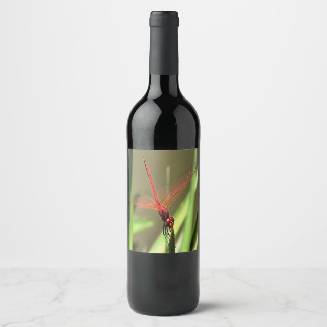 Beautiful Firecracker Dragonfly Acrylic Painting Wine Label (Front)