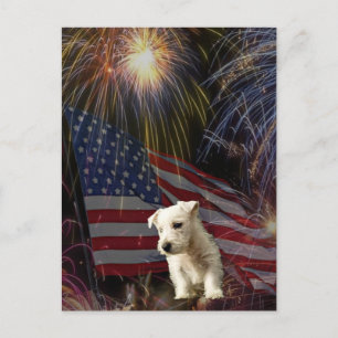 Beautiful Fireworks Celebration - Westie Design Postcard