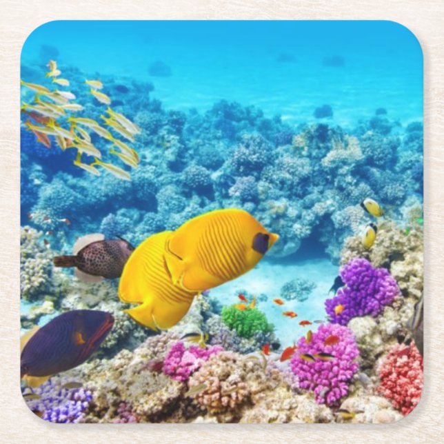 Beautiful Fish Coaster Set (Front)