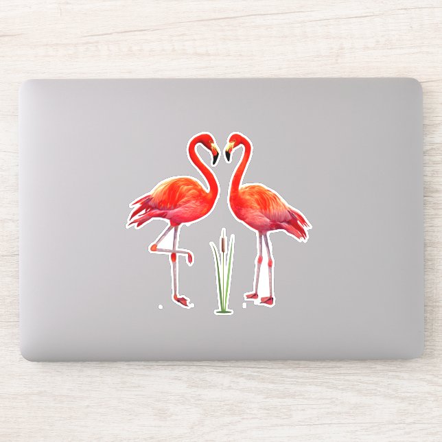 Beautiful Flamingo Couple (Computer)