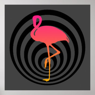 Beautiful flamingo in circles poster