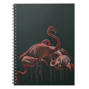 BEAUTIFUL FLAMINGO ON DARK BACKGROUND NOTEBOOK