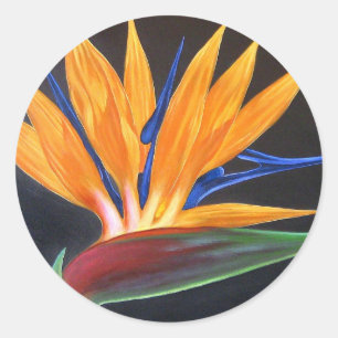 Beautiful Floral Bird Of Paradise Flower Tropical Classic Round Sticker