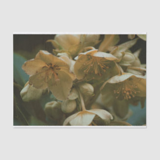 Beautiful floral flower Tissue Paper