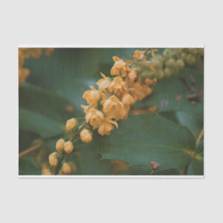 Beautiful floral flower tissue paper for gifts