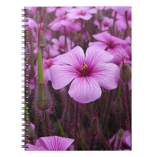 Beautiful Floral Notebook (Front)