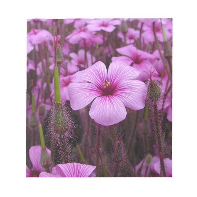 Beautiful Floral Notepad (Front)