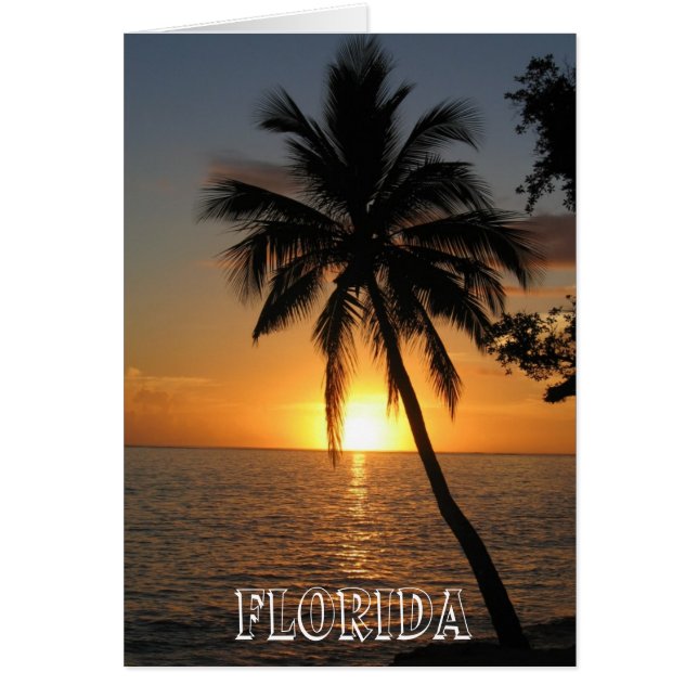 Beautiful Florida (Front)