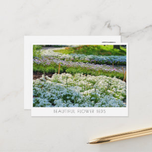 Beautiful Flower Beds Postcard