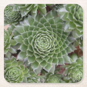 Beautiful Flower Coaster Set