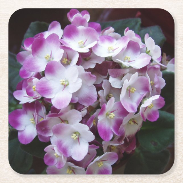 Beautiful Flower Coaster Set (Front)