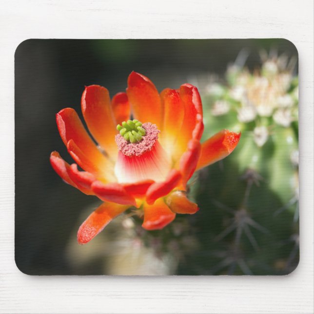 Beautiful Flower Mouse Mat (Front)