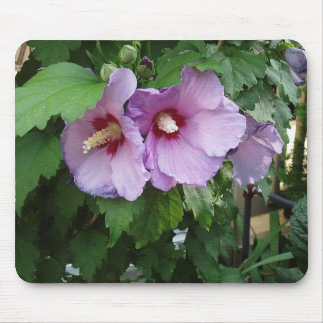 Beautiful Flower Mouse Mat (Front)